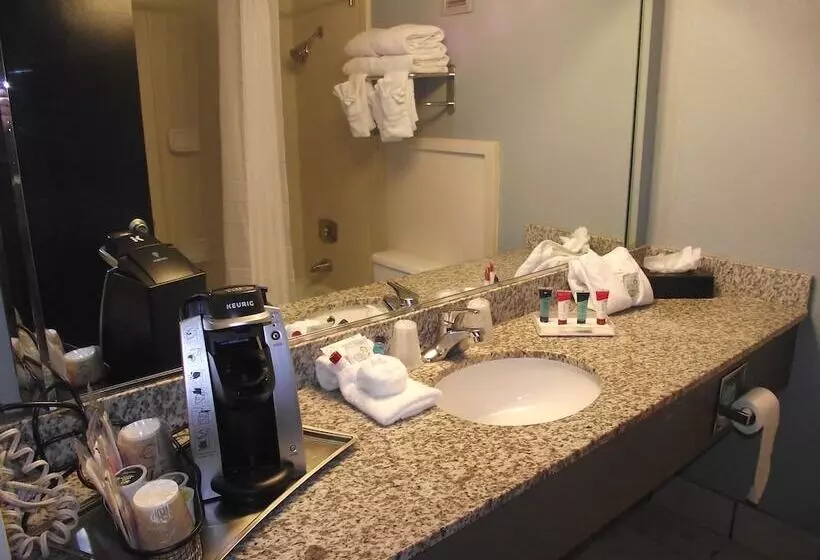 スーペリアールーム, Travelodge By Wyndham Memphis Airport/graceland