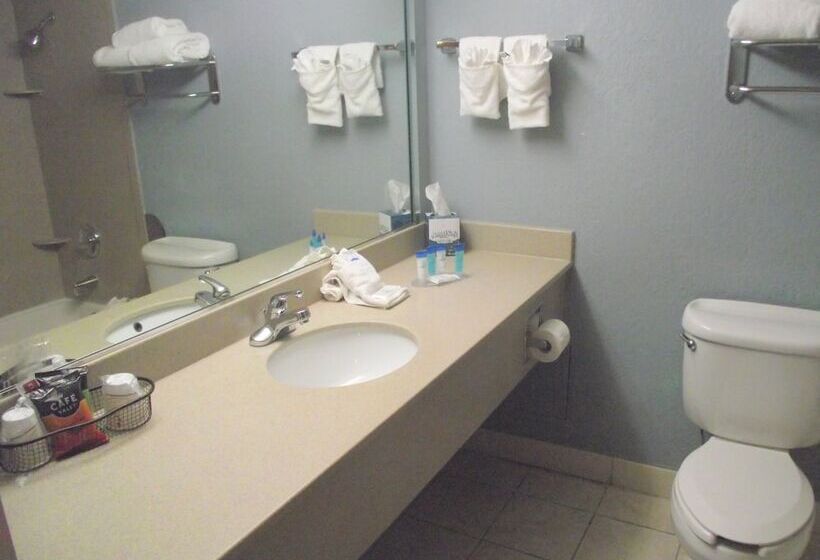 Номер Deluxe, Travelodge By Wyndham Memphis Airport/graceland