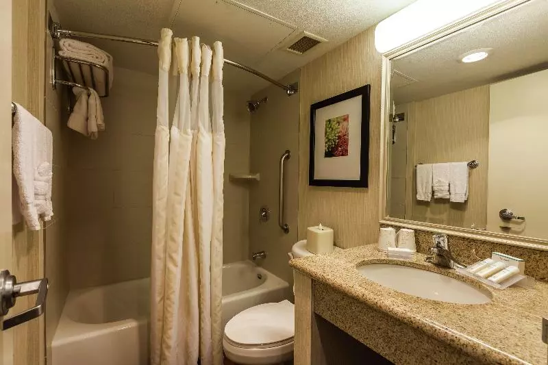 身障者適用スタンダードルーム, Intercontinental San Antonio Riverwalk, An Ihg
