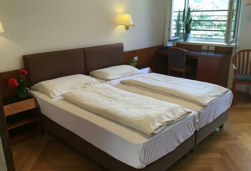 آپارتمان 1 خوابه با چشم‌انداز, Adria