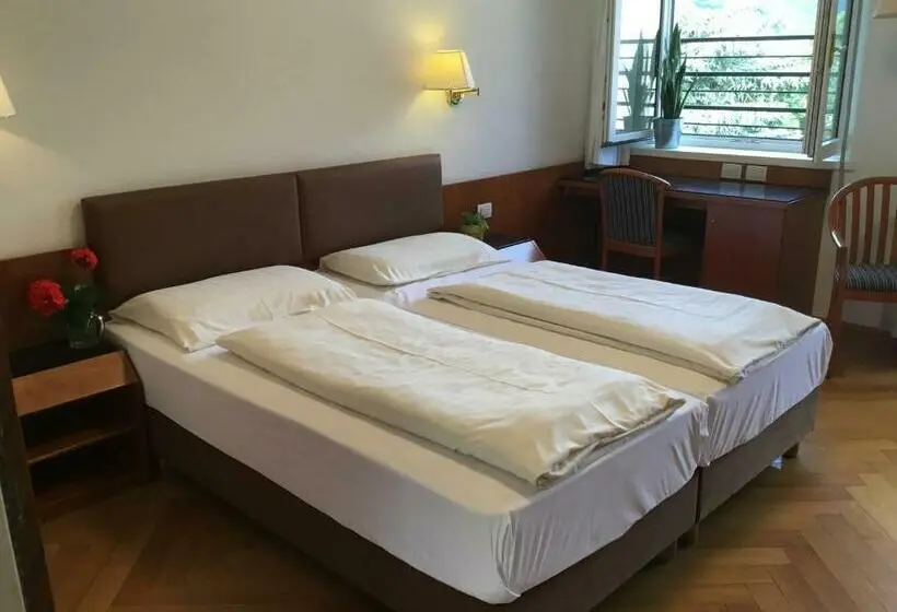 آپارتمان 1 خوابه با چشم‌انداز, Adria