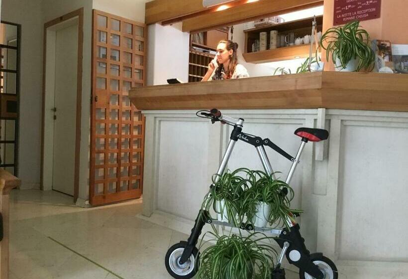 اتاق استاندارد یک نفره, Adria