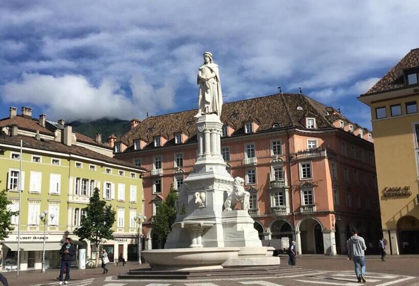 اتاق استاندارد یک نفره, Adria