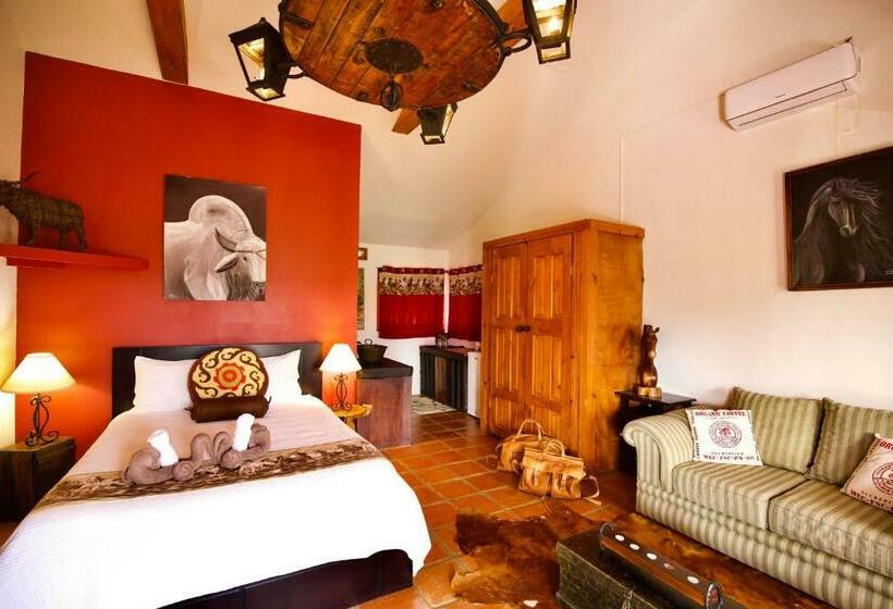 غرفة سوبيريور, Toucan Lane Hotel And Restaurant