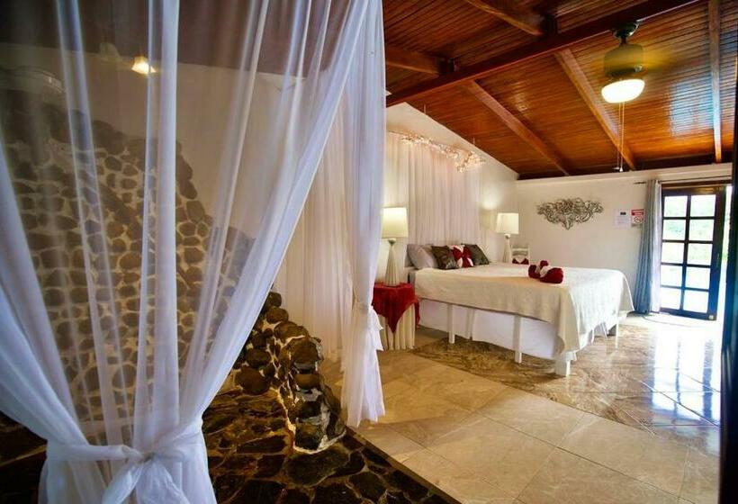 Полулюкс Повышенной Комфортности, Toucan Lane Hotel And Restaurant