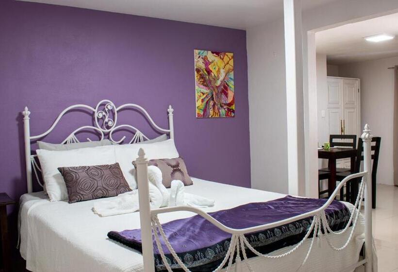 شقة غرفة واحدة مزودة بتراس, Toucan Lane Hotel And Restaurant