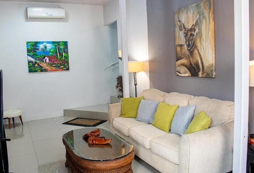 شقة غرفة واحدة مزودة بتراس, Toucan Lane Hotel And Restaurant