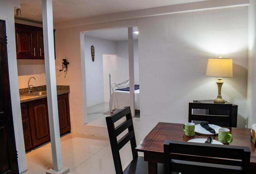 شقة غرفة واحدة مزودة بتراس, Toucan Lane Hotel And Restaurant