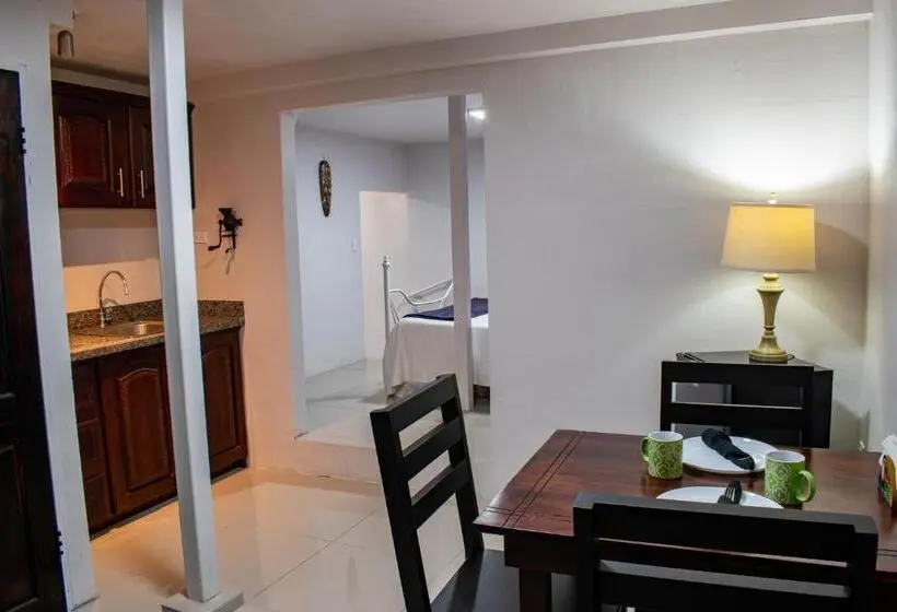 テラス付き1ベッドルームアパートメント, Toucan Lane Hotel And Restaurant