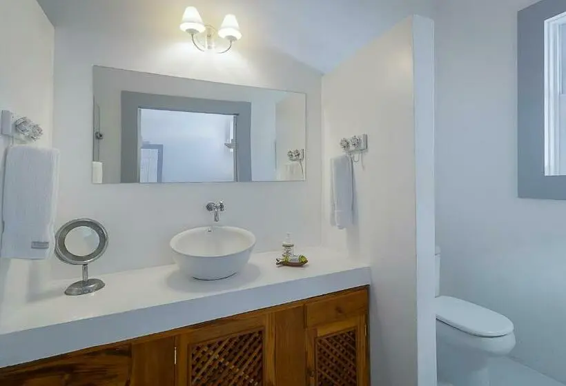 Sviitti Puutarhanäkymä, Pousada Casa De Paraty