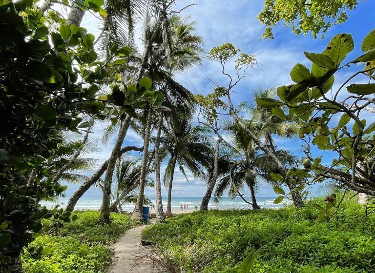 テラス付きスタンダードルーム, El Chante Surf House