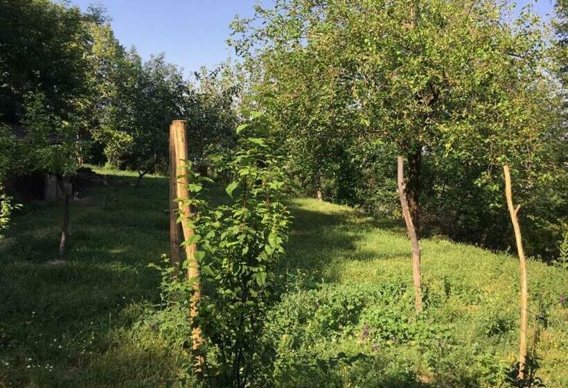 اتاق استاندارد سه نفره, Shaki Host House