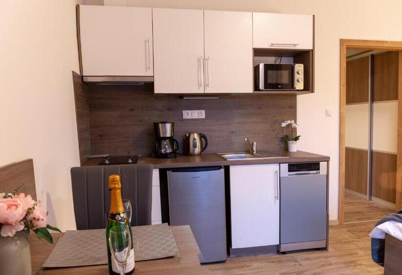 דירה בת חדר שינה 1 עם מרפסת, Pension George