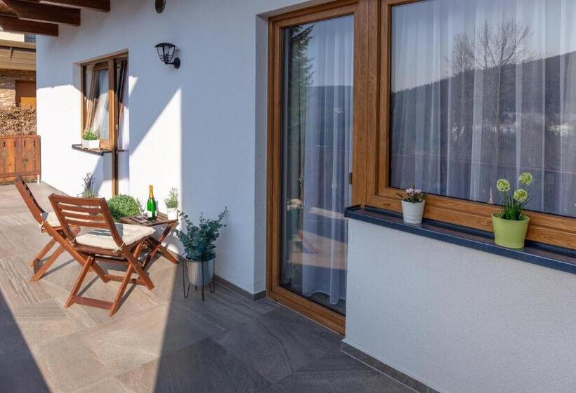 דירה בת חדר שינה 1 עם מרפסת, Pension George