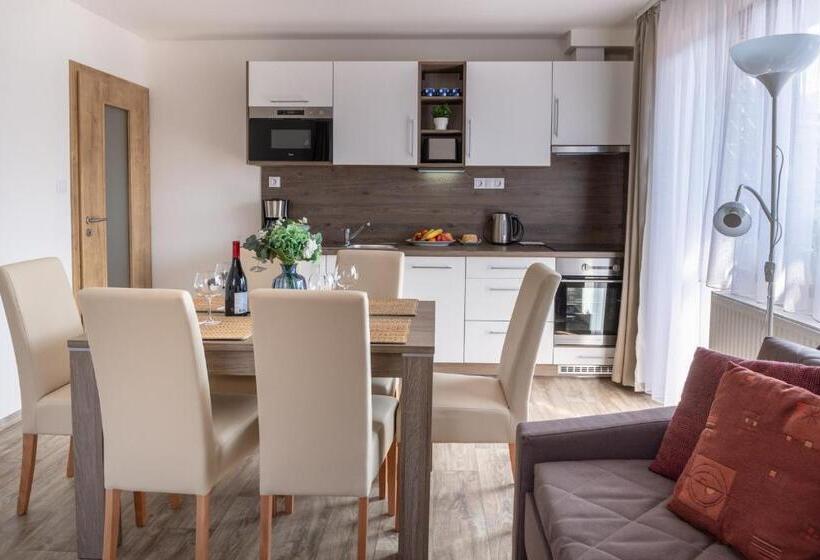 דירת חדר, Pension George