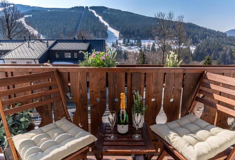 דירת חדר, Pension George