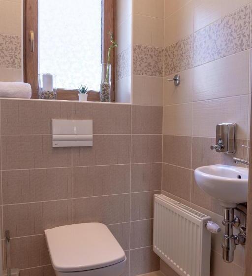 דירת חדר, Pension George