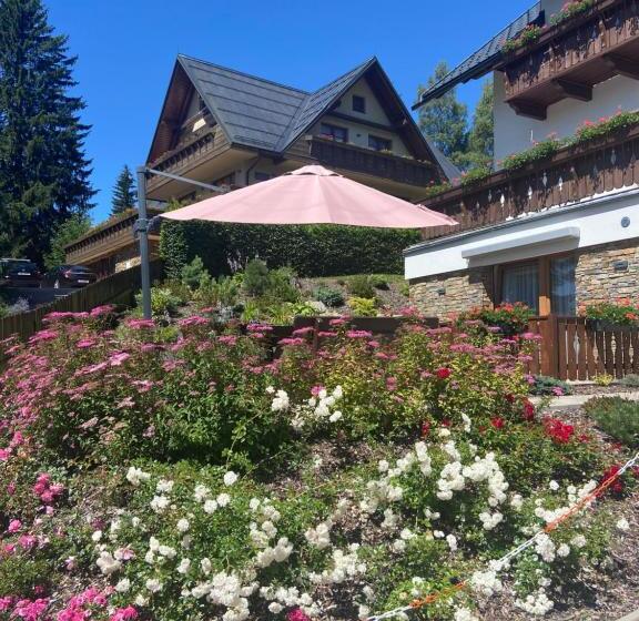 דירת חדר בקומת קרקע, Pension George