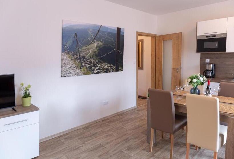 דירת חדר, Pension George