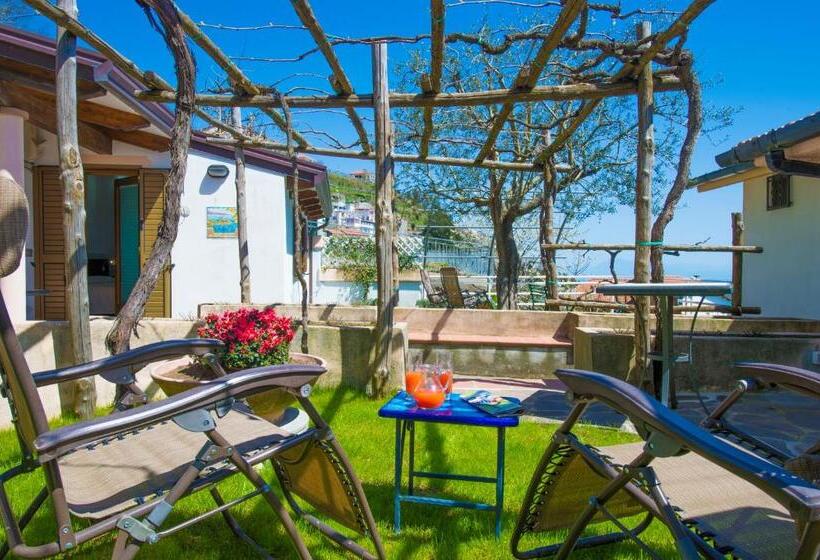 经济房, B&b Il Nespolo