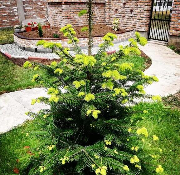 ویلای 1 خوابه با چشمانداز باغ, Casa Alba