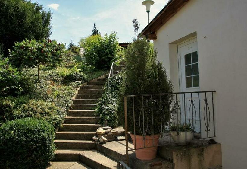 Апартаменты 1 Спальня, Weingut Koch