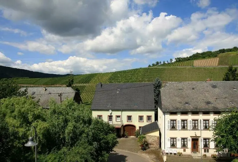 １ベッドルームのデラックスアパートメント, Weingut Koch