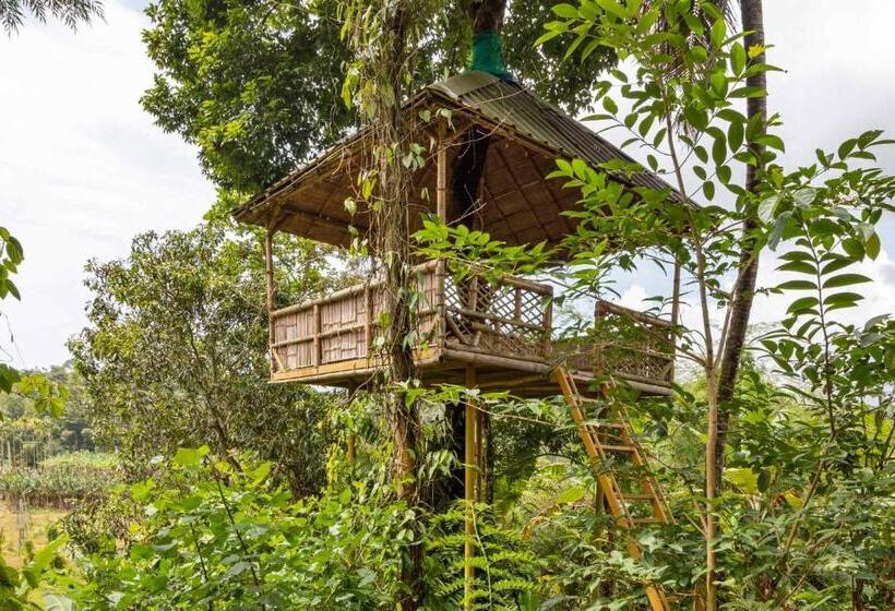 Вилла Deluxe 1 Спальня, Stayvista At Serene Valley With Bonfire & Badminton