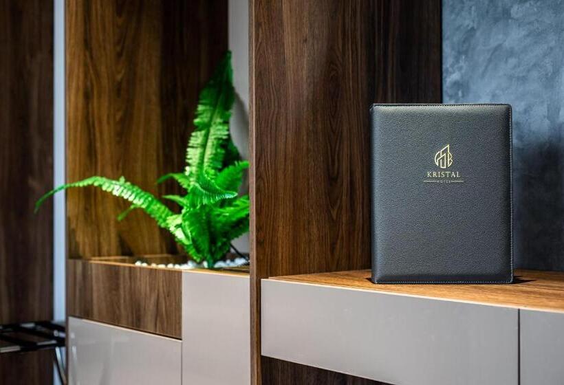 Апартаменты 1 Спальня, Kristal Focsani