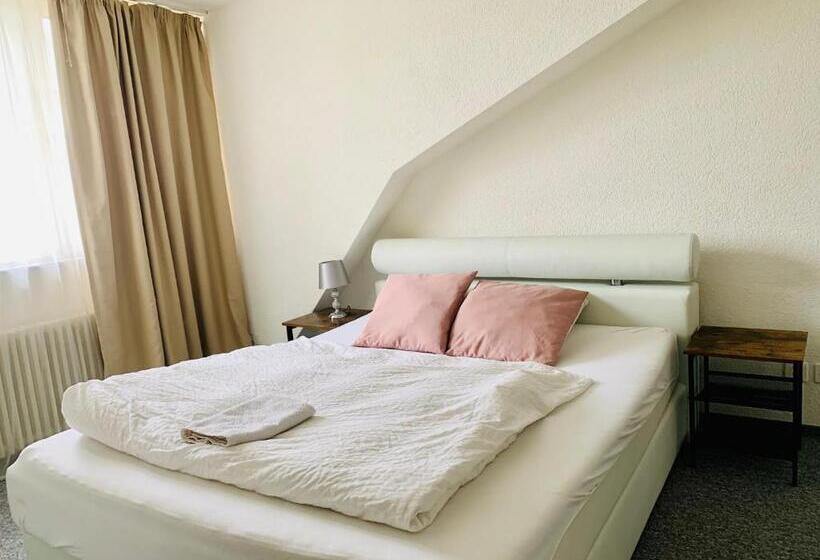 Стандартный Номер Кровать Кинг, Swiss Hotel Krummen Eich Pratteln Free Parking