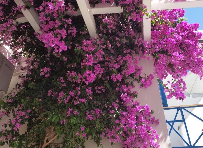 스탠다드 내측 룸, B&b Sognando Vietri