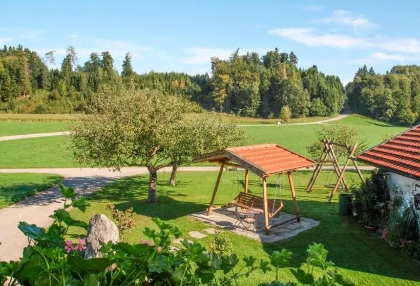 Quarto Triplo Standart, Beim Appertinger
