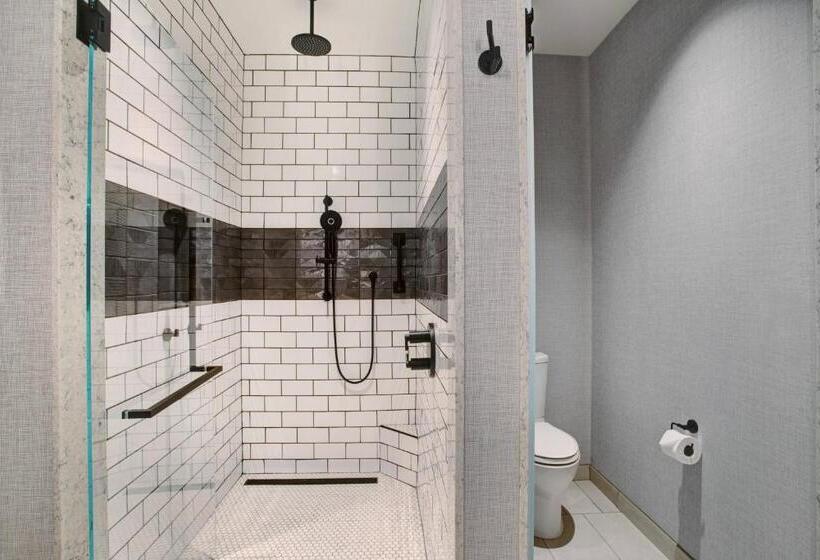 غرفة قياسية سرير كينج لذوى الإحتياجات الخاصة, The Farnam, Autograph Collection