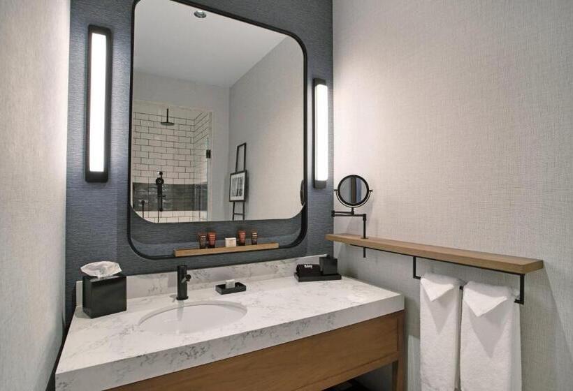 غرفة قياسية سرير كينج لذوى الإحتياجات الخاصة, The Farnam, Autograph Collection