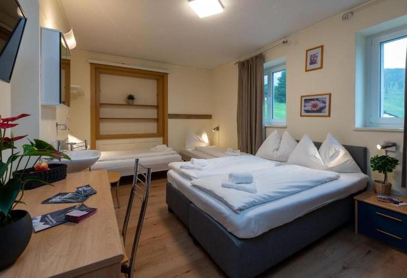 Четырехместный Номер Стандарт, Grischalodge Das Hotel Mit Bergblick Seit 1929   Bitte Beachten Sie Beim Buchen Auf Die Zimmerkatego