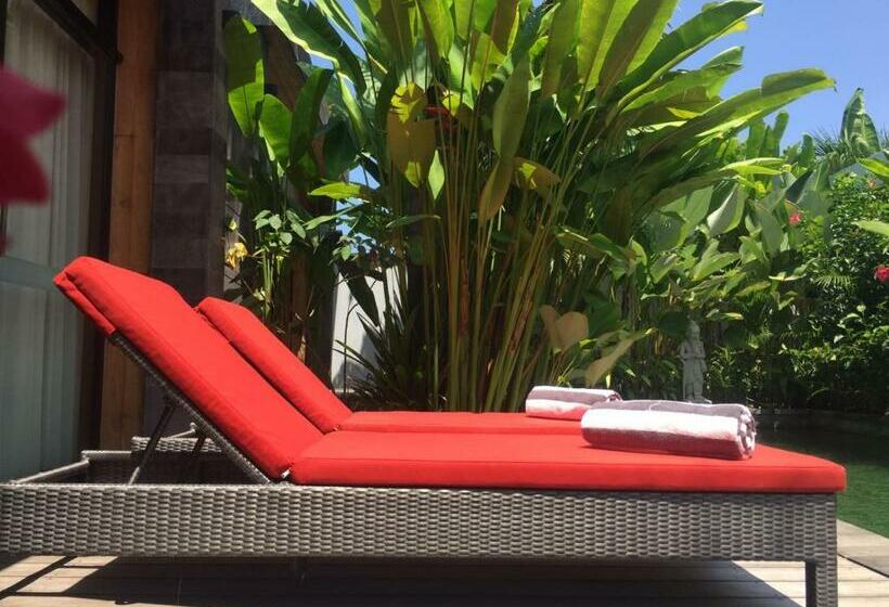 Номер Deluxe, Le Chien Rouge