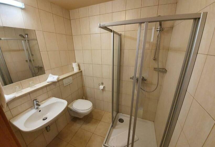 חדר סטנדרט יחיד, Zum Buchenberg