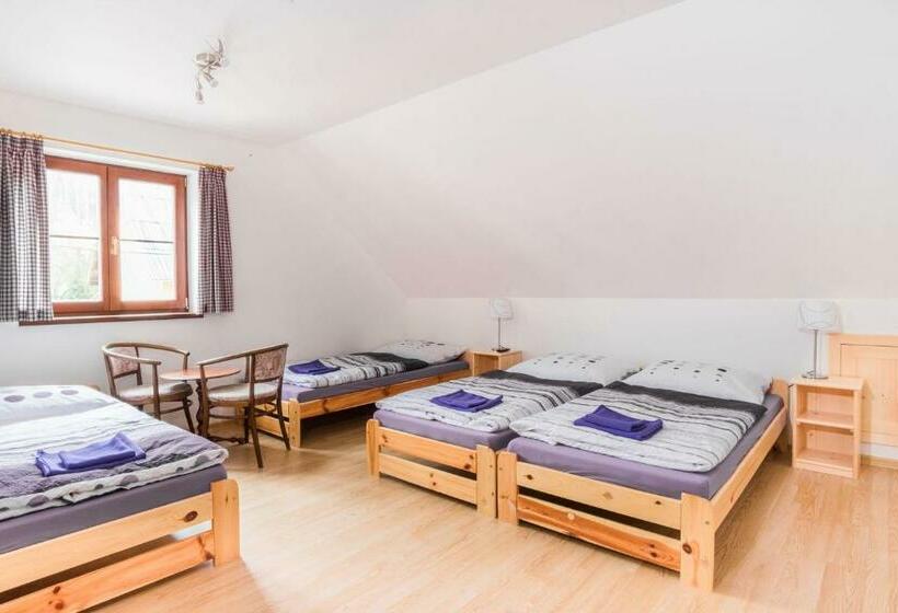 חדר סטנדרט לארבעה, Ubytování Krkonoše