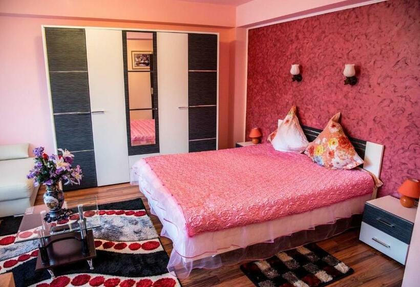 标准间, Pensiunea Ingrid