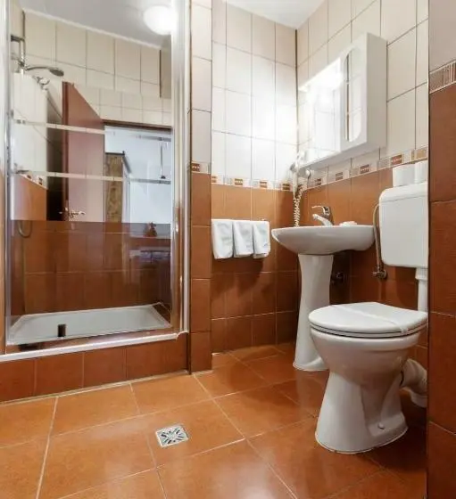 اتاق استاندارد سه نفره, Casa Rasnoveana