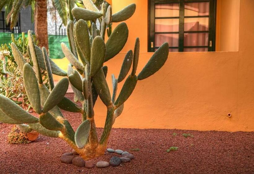 Апартаменты 1 Спальня, Complejo Las Tres Palmeras