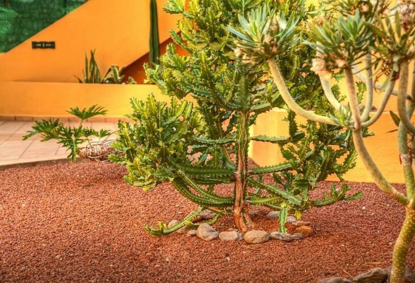 Апартаменты 1 Спальня, Complejo Las Tres Palmeras