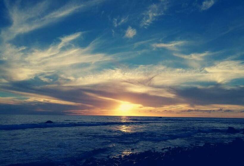 Апартаменты 1 Спальня, Complejo Las Tres Palmeras