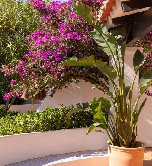 آپارتمان سوپریور 1 خوابه, Unio Ibiza Adults Only