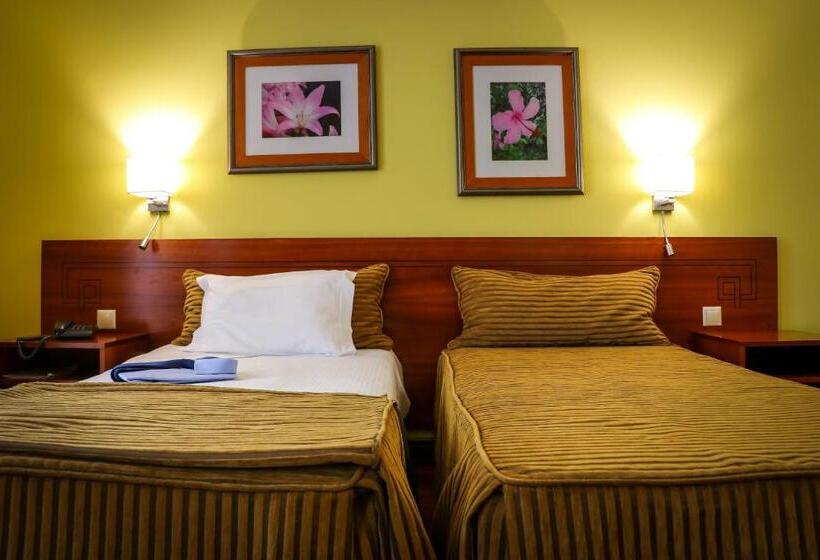 이그제큐티브 룸, Camoes