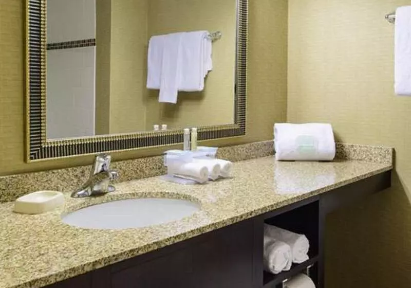 キングサイズベッドのスタンダードルーム, Holiday Inn Express Philadelphia Penn S Landing, An Ihg