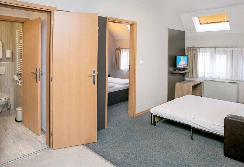 דירת חדר, Niky