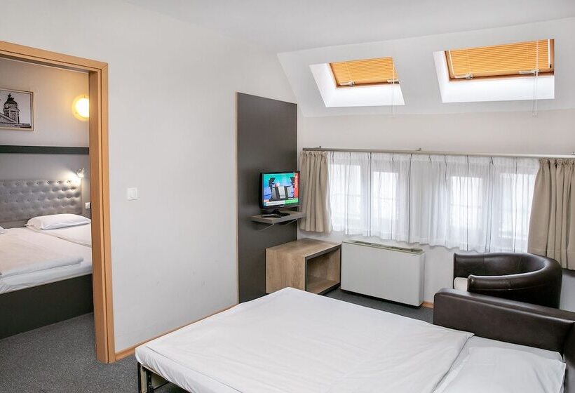 דירת חדר, Niky