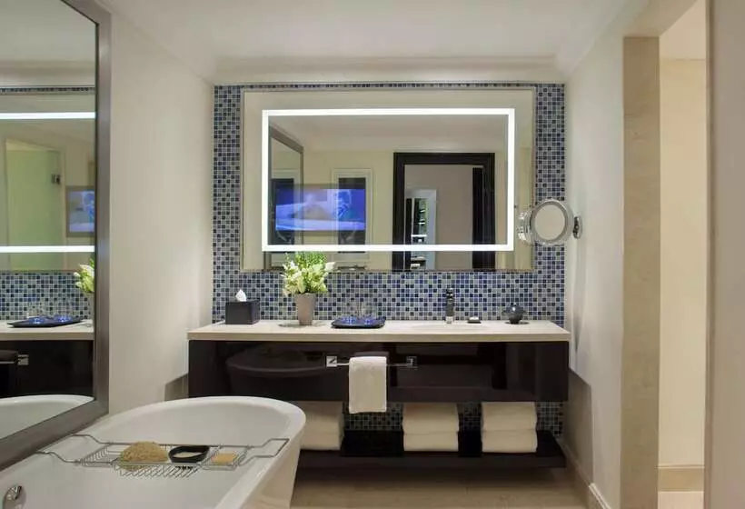 シングルデラックスルーム, Four Seasons Hotel Buenos Aires