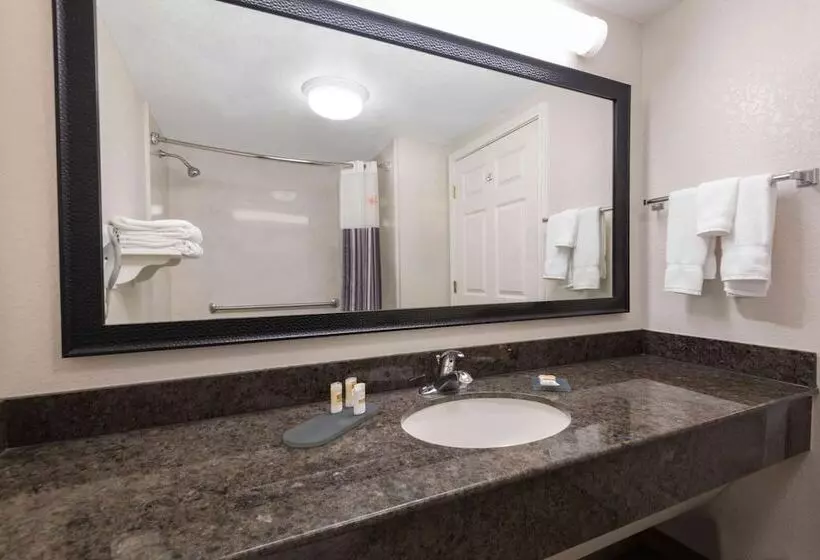 2ダブルベッドのスタンダードルーム, La Quinta Inn & Suites By Wyndham San Antonio Riverwalk